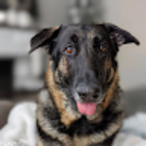 Meet your Posher, Kaden